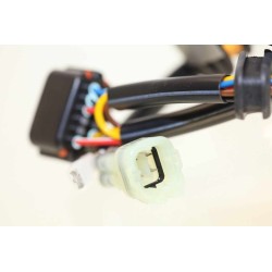 Allumage BETA 2009-2012 stator seul