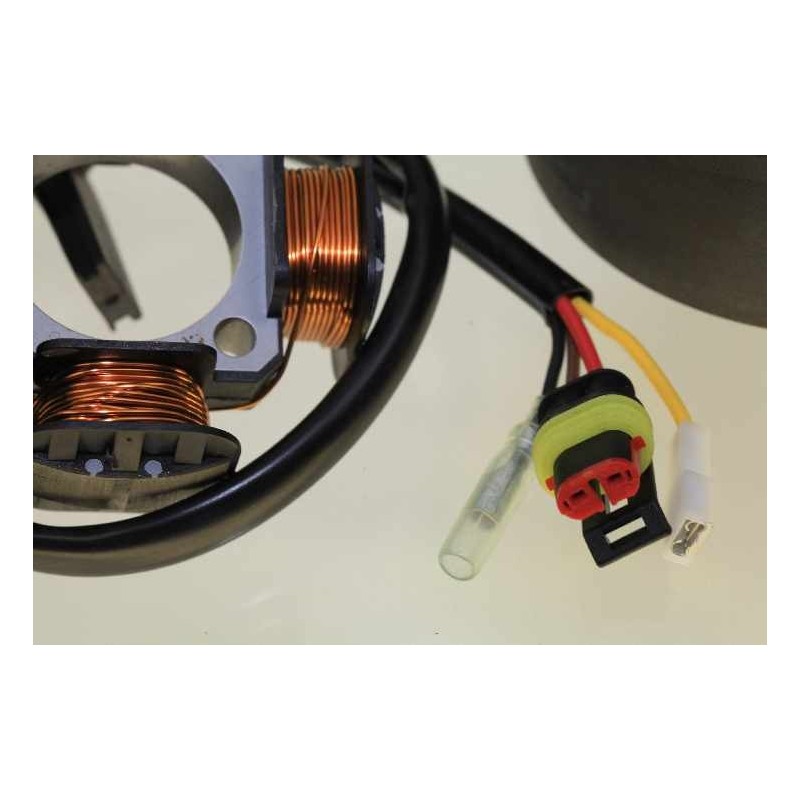 Allumage BETA 2005 125 rotor/stator