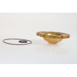 Culasse TRS 250 dome seul - comprimé 250B