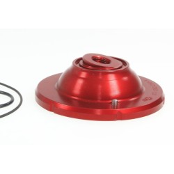 Culasse VERTIGO/JOTAGAS 250 dome seul + comprimé 250A