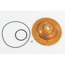 Culasse VERTIGO/JOTAGAS 250...
