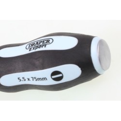 Tournevis plat DRAPER 5.5x75mm