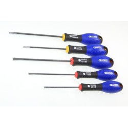 Jeu de 5 tournevis EXPERT