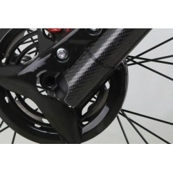 Protection fourche carbone DELAY universel