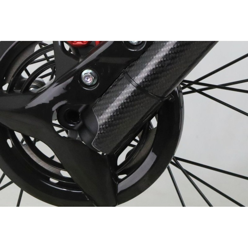 Protection fourche carbone DELAY universel