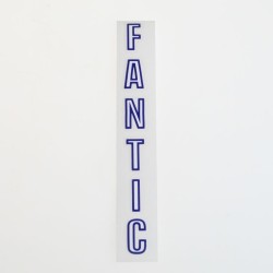 Adhésifs fourche FANTIC la paire