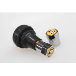 Bouchon valve DUNLOP plastique chrome LA PAIRE