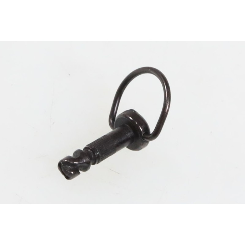 Vis 1/4 tour cache batterie ELECTRIC MOTION 2024