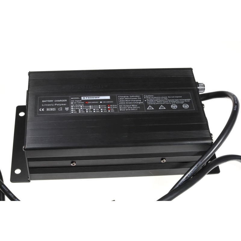 Chargeur secteur ELECTRIC MOTION 2016-2019 15A
