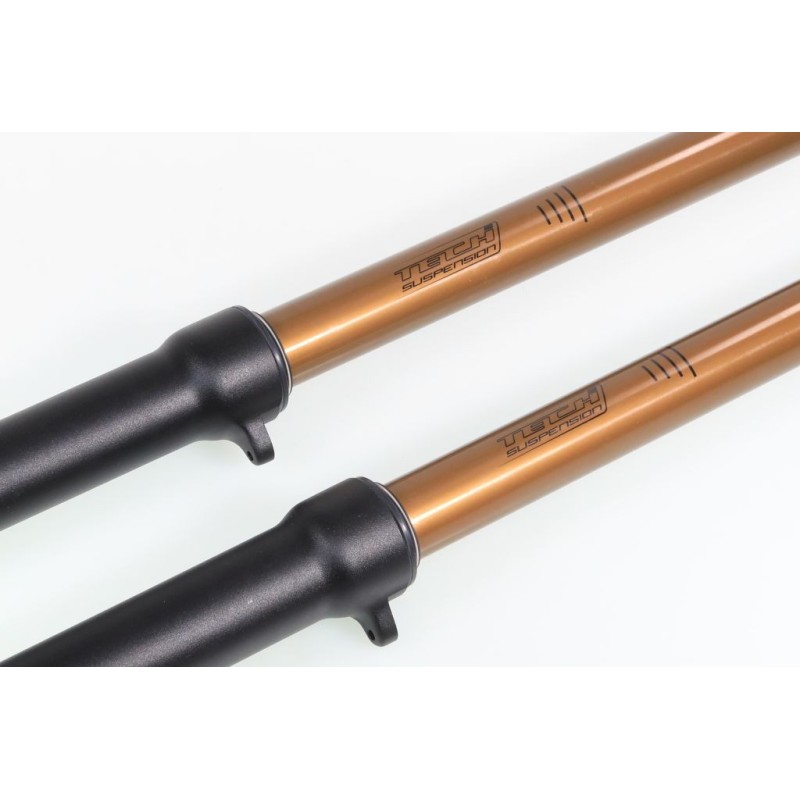 Fourche complète TECH GASGAS GP KASHIMA alu 39mm