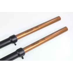 Fourche complète TECH GASGAS GP KASHIMA alu 39mm