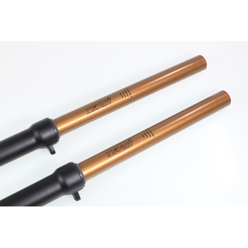 Fourche complète TECH GASGAS GP KASHIMA alu 39mm