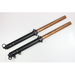 Fourche complète TECH GASGAS GP KASHIMA alu 39mm