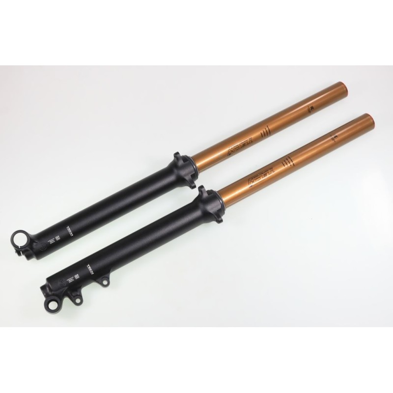 Fourche complète TECH GASGAS GP KASHIMA alu 39mm