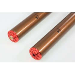 Fourche complète TECH GASGAS GP KASHIMA alu 39mm