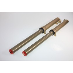 Fourche complete TECH GASGAS alu 39mm or