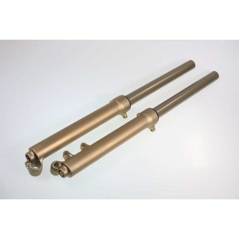 Fourche complete TECH GASGAS alu 39mm or