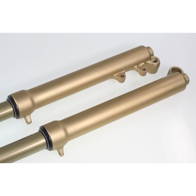 Fourche complete TECH GASGAS alu 39mm or