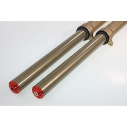 Fourche complete TECH GASGAS alu 39mm or