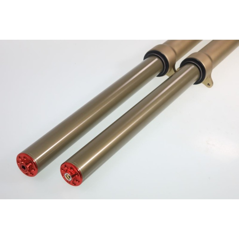 Fourche complete TECH GASGAS alu 39mm or