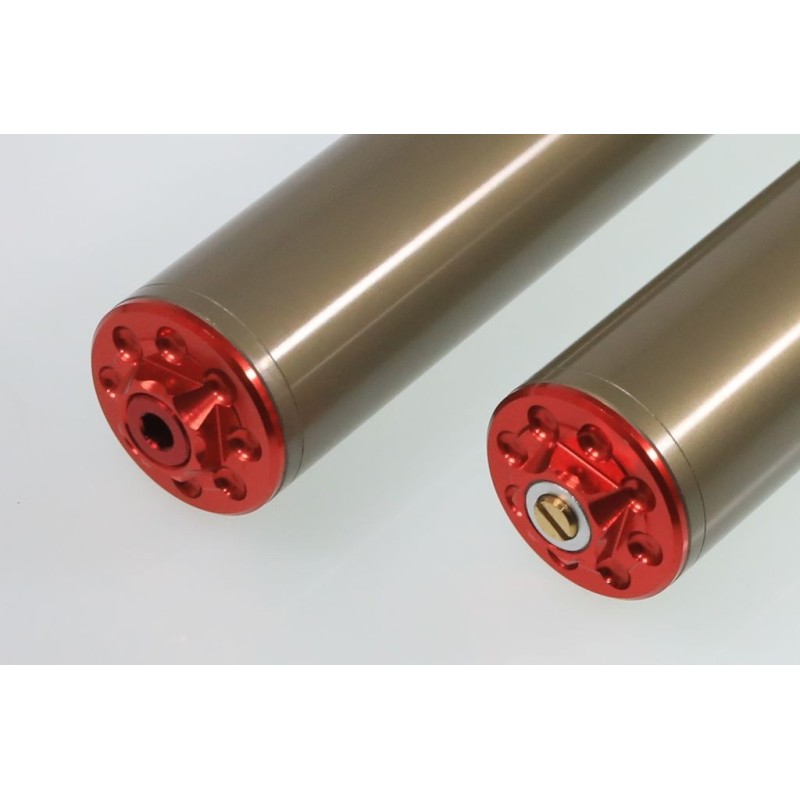 Fourche complete TECH GASGAS alu 39mm or