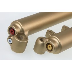 Fourche complete TECH GASGAS alu 39mm or