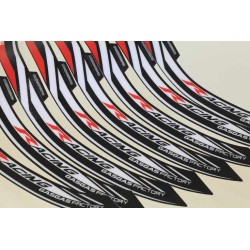 Autocollant cerceau de roue GASGAS 2012 racing