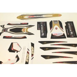Kit autocollant GASGAS 2010...