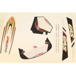 Kit autocollant GASGAS 2010 raga complet