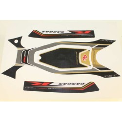 Kit autocollant GASGAS 2010 raga complet