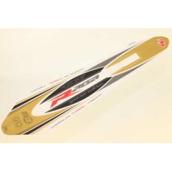 Kit autocollant GASGAS 2010 raga complet