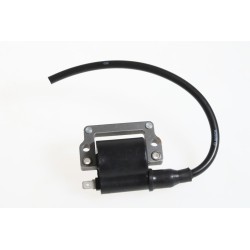 Bobine allumage GASGAS...