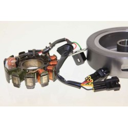Allumage GASGAS 2014 factory rotor/stator kokusan