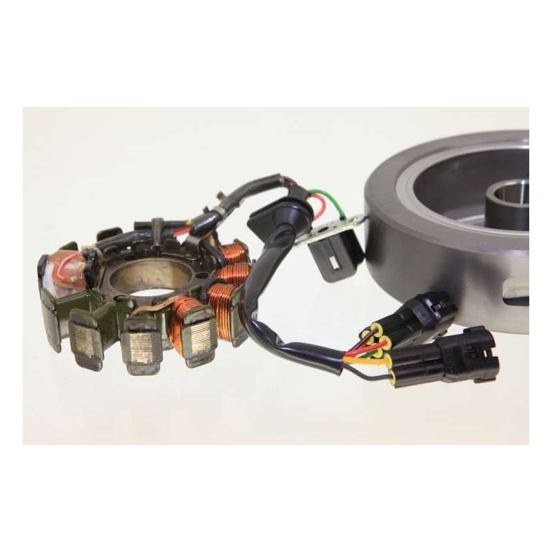 Allumage GASGAS 2014 factory rotor/stator kokusan