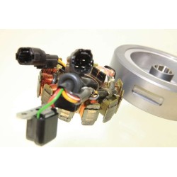 Allumage GASGAS 2014 factory rotor/stator kokusan