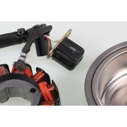 Allumage GASGAS 2018-2025 125 rotor/stator