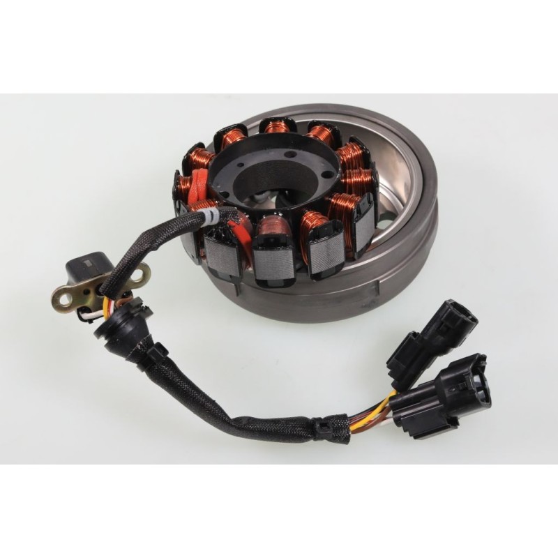 GASGAS 2018-2025 125 Ignition (Rotor/Stator)