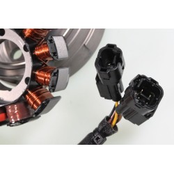 GASGAS 2018-2025 125 Ignition (Rotor/Stator)