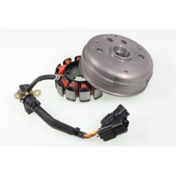 Allumage GASGAS 2018-2025 125 rotor/stator