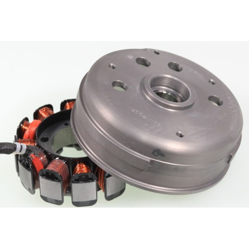 GASGAS 2018-2025 125 Ignition (Rotor/Stator)