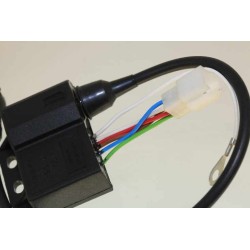Bobine et CDI allumage GASGAS 2005-2012 Boy 50cc