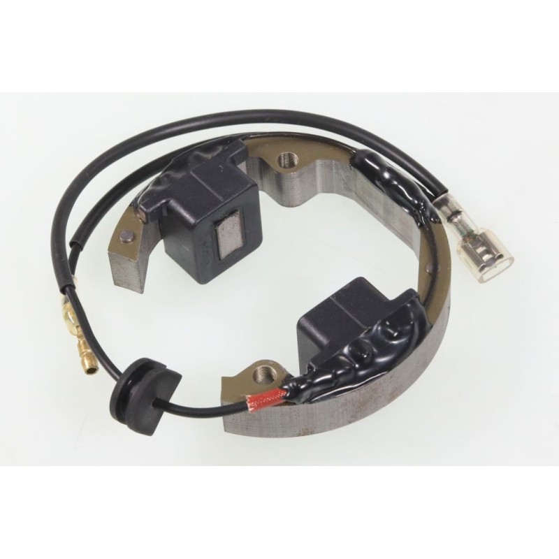 Allumage GASGAS Boy EC 50cc stator seul