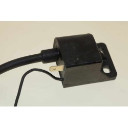 Bobine allumage GASGAS 2000-2004 Boy 50cc selettra