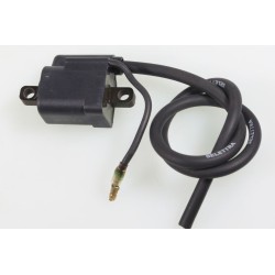 Bobine allumage GASGAS Boy 50cc