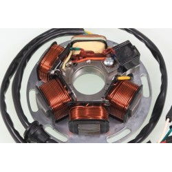 Allumage GASGAS 1989 Ducati stator seul