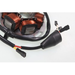 Allumage GASGAS 1989 Ducati stator seul