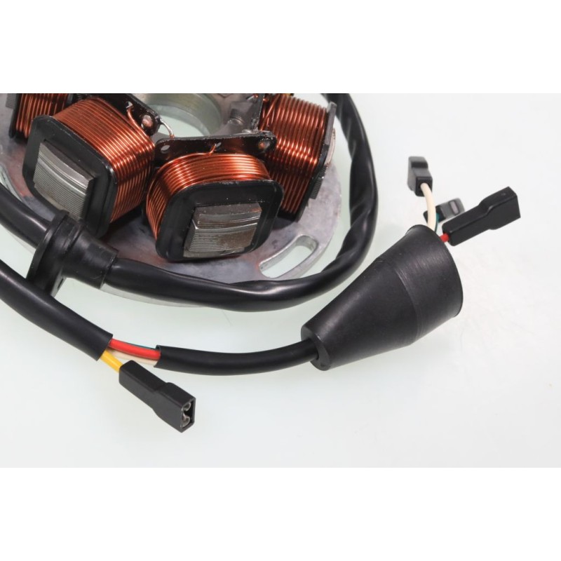 Allumage GASGAS 1989 Ducati stator seul