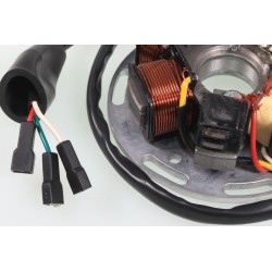Allumage GASGAS 1989 Ducati stator seul