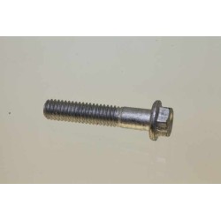 Vis culasse GASGAS pro M6x25