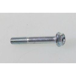 Vis GASGAS M8x55 6 pans